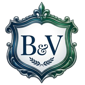 B&V Seguros